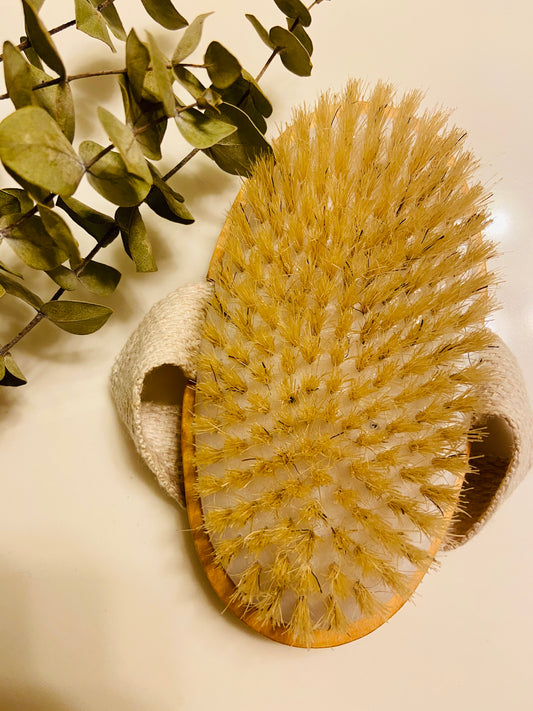 Dry Body Brush